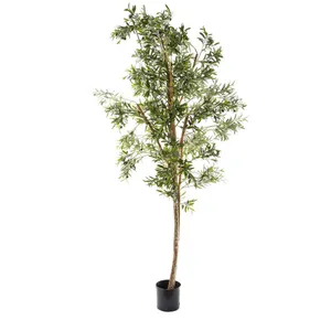 Olive Tree 2.4m by Florabelle Living, a Plants for sale on Style Sourcebook