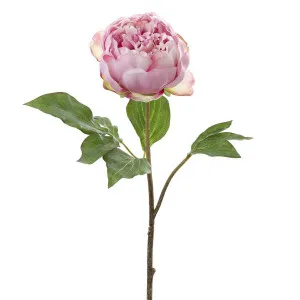 Peony Spray 60cm Pink by Florabelle Living, a Plants for sale on Style Sourcebook