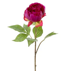 Peony Spray 60cm Fuchsia by Florabelle Living, a Plants for sale on Style Sourcebook