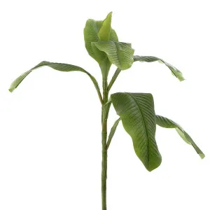 Leaf Banana Spray 95cm by Florabelle Living, a Plants for sale on Style Sourcebook