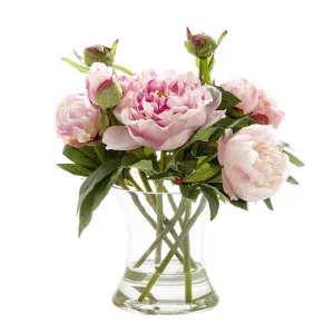 Peony in Water in Glass Vase Dk Pink by Florabelle Living, a Plants for sale on Style Sourcebook