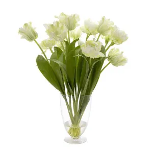 Tulip in Water in Glass Vase Parrot White by Florabelle Living, a Plants for sale on Style Sourcebook