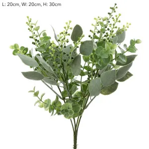 Eucalyptus Berry Bush 30cm by Florabelle Living, a Plants for sale on Style Sourcebook