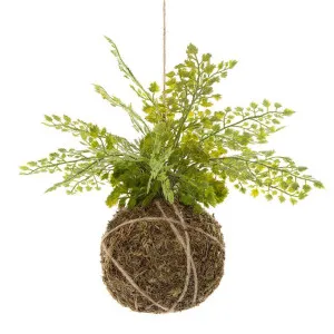 Fern Ball Hanging 25cm by Florabelle Living, a Plants for sale on Style Sourcebook