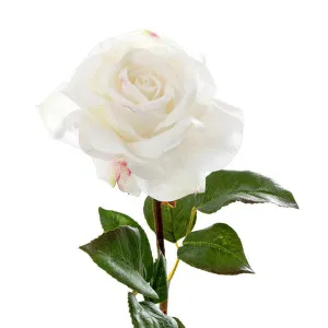 Rose True Touch 50cm White by Florabelle Living, a Plants for sale on Style Sourcebook