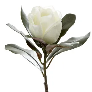 Magnolia Single Head 70cm White by Florabelle Living, a Plants for sale on Style Sourcebook
