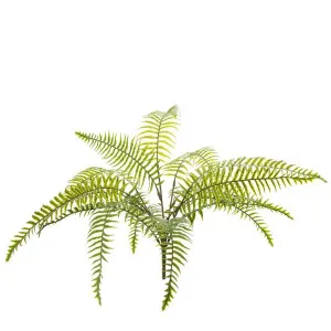 Fern Pick 50cm Green by Florabelle Living, a Plants for sale on Style Sourcebook