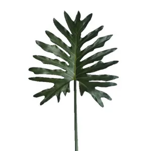 Leaf Philodendron Spray 85cm by Florabelle Living, a Plants for sale on Style Sourcebook