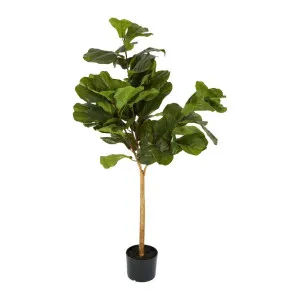 Fiddle Leaf Tree Real Touch 1.32m by Florabelle Living, a Plants for sale on Style Sourcebook