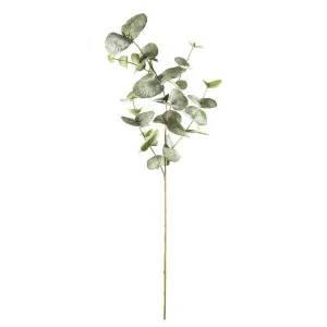Eucalyptus Spray Mixed Sized Leaves 87cm by Florabelle Living, a Plants for sale on Style Sourcebook