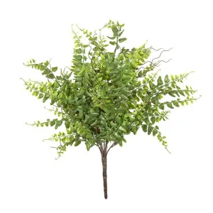 Fern Bush 45cm by Florabelle Living, a Plants for sale on Style Sourcebook
