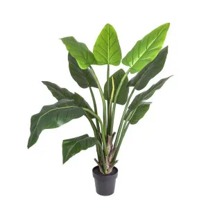 Philo Tree Real Touch 1.4m by Florabelle Living, a Plants for sale on Style Sourcebook