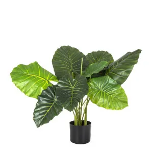 Philo Tree Real Touch 68cm by Florabelle Living, a Plants for sale on Style Sourcebook