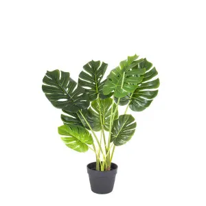 Monstera Tree Real Touch 85cm by Florabelle Living, a Plants for sale on Style Sourcebook