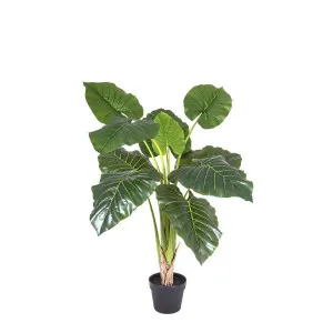 Philo Real Touch 90cm by Florabelle Living, a Plants for sale on Style Sourcebook