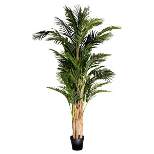 Palm Tree Real Touch 190cm by Florabelle Living, a Plants for sale on Style Sourcebook