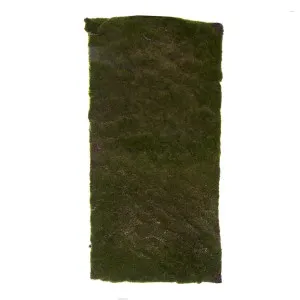 Moss Mat Large 100x50cm Green by Florabelle Living, a Plants for sale on Style Sourcebook