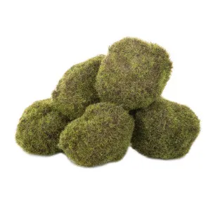 Moss Balls in Bag x6 35cm by Florabelle Living, a Plants for sale on Style Sourcebook