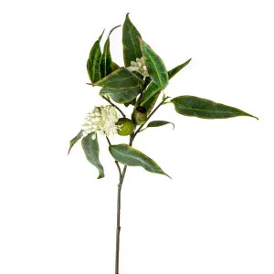 Eucalyptus Flower Spray 70cm by Florabelle Living, a Plants for sale on Style Sourcebook