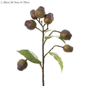 Eucalyptus Burgundy 67cm Green by Florabelle Living, a Plants for sale on Style Sourcebook