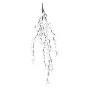 Orchid Spider Hanging 1.1m White by Florabelle Living, a Plants for sale on Style Sourcebook