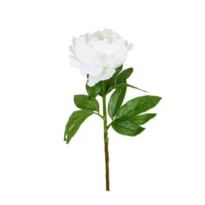 Peony Queen 70cm White by Florabelle Living, a Plants for sale on Style Sourcebook