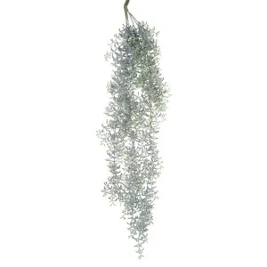 Succulent Vine 90cm by Florabelle Living, a Plants for sale on Style Sourcebook