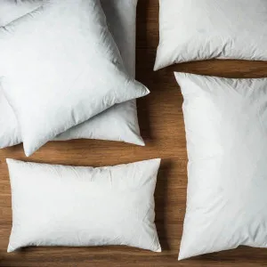 Duck Feather Cushion Insert 40x50cm by Florabelle Living, a Cushions, Decorative Pillows for sale on Style Sourcebook