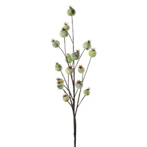 Gumnut Spray 70cm by Florabelle Living, a Plants for sale on Style Sourcebook