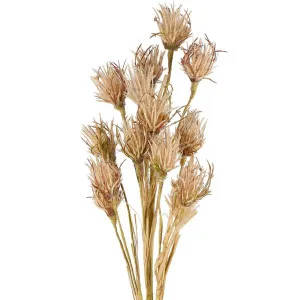 Wheat Flower Stem 75cm Brown by Florabelle Living, a Plants for sale on Style Sourcebook