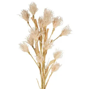 Wheat Flower Stem 75cm White by Florabelle Living, a Plants for sale on Style Sourcebook