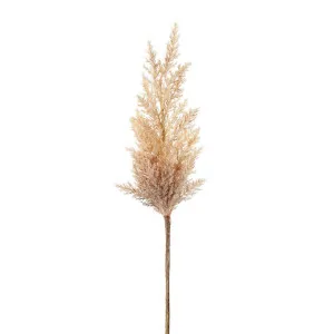 Wheat Astilbe Flower Stem 75cm Brown by Florabelle Living, a Plants for sale on Style Sourcebook