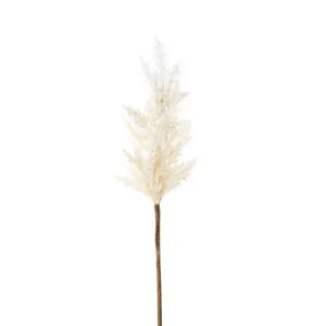 Wheat Astilbe Flower Stem 75cm White by Florabelle Living, a Plants for sale on Style Sourcebook