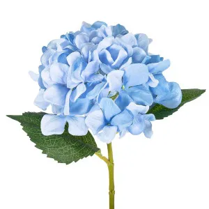 Hydrangea Stem 62cm Light Blue by Florabelle Living, a Plants for sale on Style Sourcebook