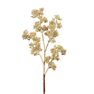 Grass Seed Spray 66cm Cream by Florabelle Living, a Plants for sale on Style Sourcebook