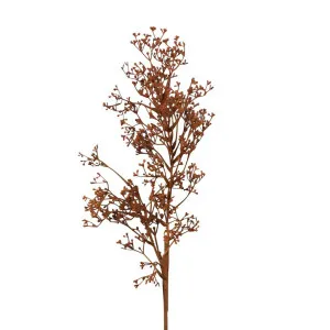 Dried Look Grass Seed Spray 75cm Brown by Florabelle Living, a Plants for sale on Style Sourcebook