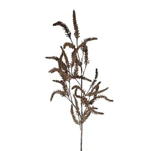 Dried Look Grass Frond 1m Brown by Florabelle Living, a Plants for sale on Style Sourcebook