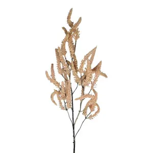 Dried Look Grass Frond 1m Pink by Florabelle Living, a Plants for sale on Style Sourcebook