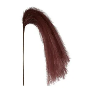 Waterfall Rabbit Tail 1.3m Plum by Florabelle Living, a Plants for sale on Style Sourcebook