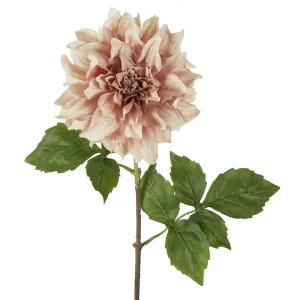 Dried Look Dahlia Stem Large 61cm Light Pink by Florabelle Living, a Plants for sale on Style Sourcebook