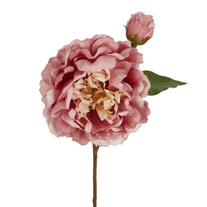 Peony Stem 61cm Pink by Florabelle Living, a Plants for sale on Style Sourcebook