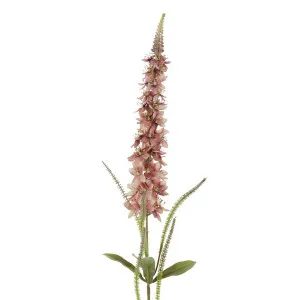 Veronica Speedwell Flower Stem 103cm Pink by Florabelle Living, a Plants for sale on Style Sourcebook