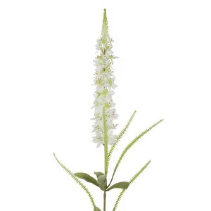 Veronica Speedwell Flower Stem 103cm White by Florabelle Living, a Plants for sale on Style Sourcebook