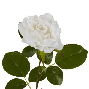 Eliza Soft Touch Rose 80cm White by Florabelle Living, a Plants for sale on Style Sourcebook