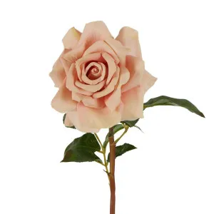 Rose True Touch 50cm Blush by Florabelle Living, a Plants for sale on Style Sourcebook