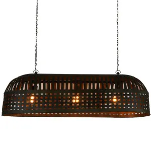 Esch Ceiling Pendant Extra Long Antique Black by Florabelle Living, a Pendant Lighting for sale on Style Sourcebook
