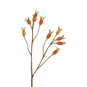 Gardenia Berry Tropical Spray 80cm Orange by Florabelle Living, a Plants for sale on Style Sourcebook