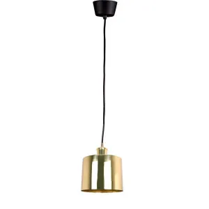 Portofino Ceiling Pendant Small Shiny Brass by Emac & Lawton, a Plants for sale on Style Sourcebook