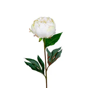 Peony Half Open 70cm White by Florabelle Living, a Plants for sale on Style Sourcebook