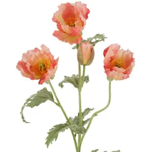 Poppy Stem 82cm Coral Pink by Florabelle Living, a Plants for sale on Style Sourcebook